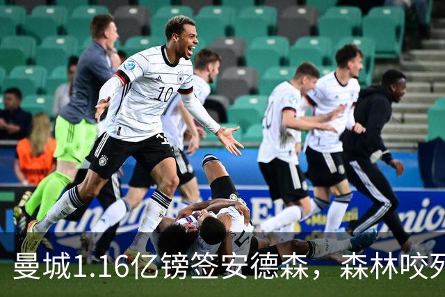 曼城1.16亿镑签安德森，森林咬死现金支付，创英球员转会纪录